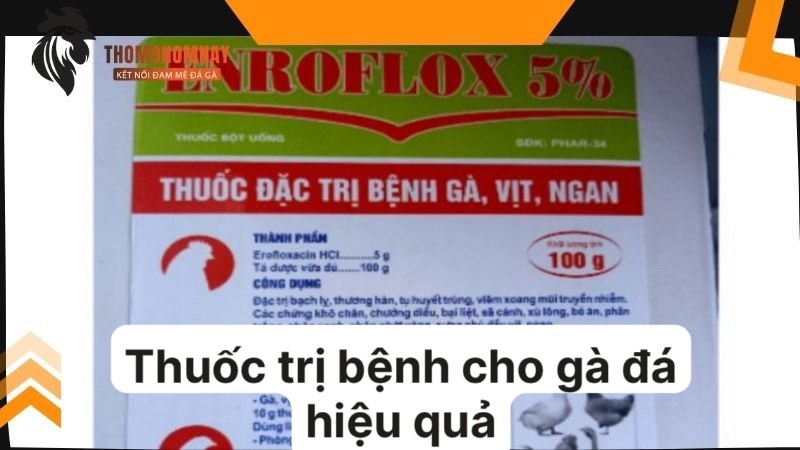 Sản phẩm đặc trị bệnh nấm phổi cho chiến kê