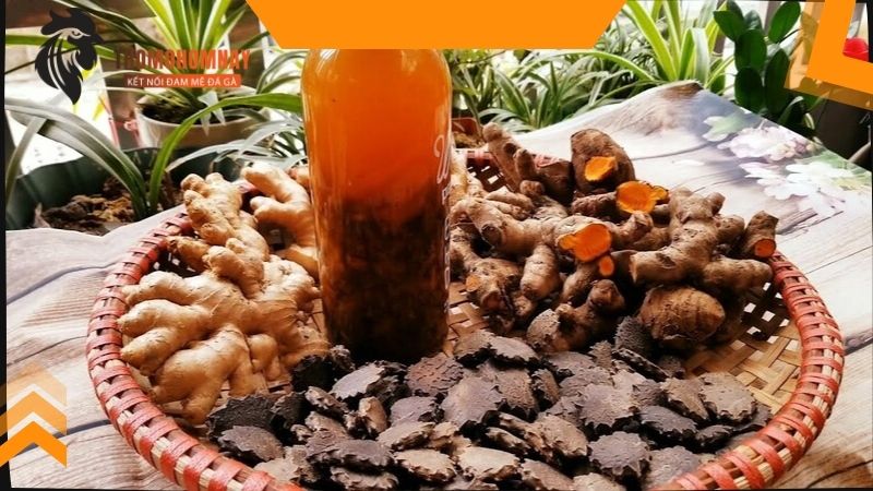 Gà chọi ăn gì để sung sức và có sức mạnh nhất? 4 Một số loại thuốc bổ xung cho chiến kê định kỳ